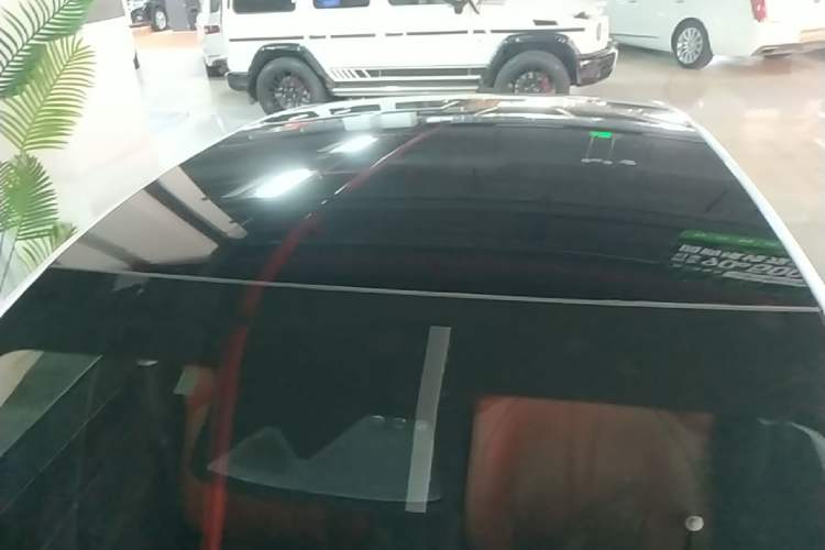 Used XPeng P7 2020 586E Roof