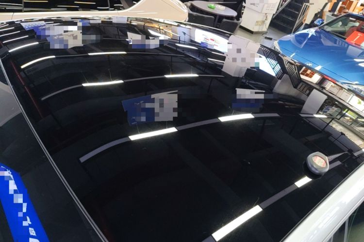 Used XPeng P7 2020 670N Roof