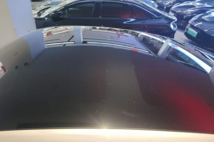 Used XPeng P7 2020 670N Roof