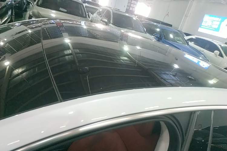 Used XPeng P7 2020 670N Roof