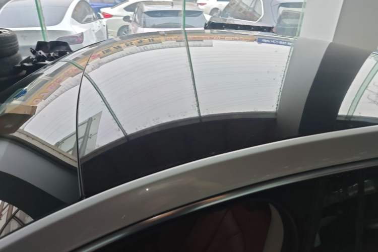 Used XPeng P7 2020 586E Roof