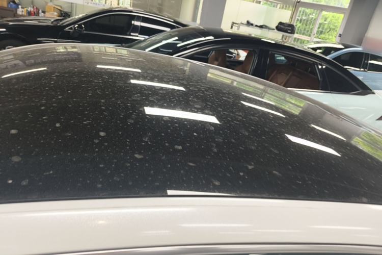 Used XPeng P7 2020 670N Roof