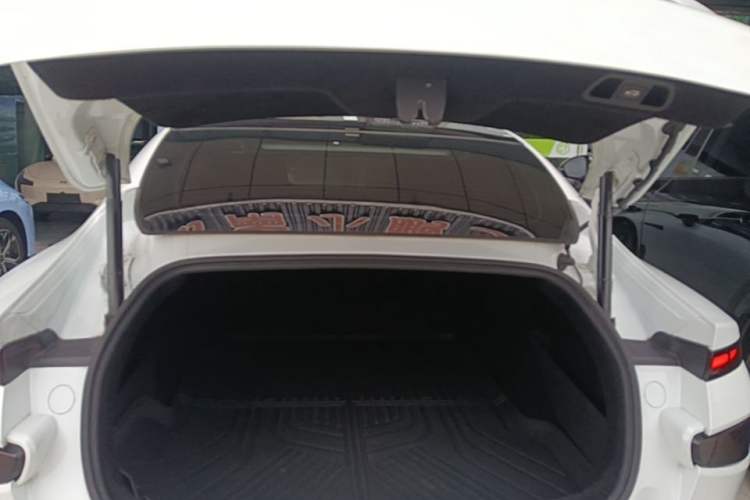 Used XPeng P7 2020 670N Trunk