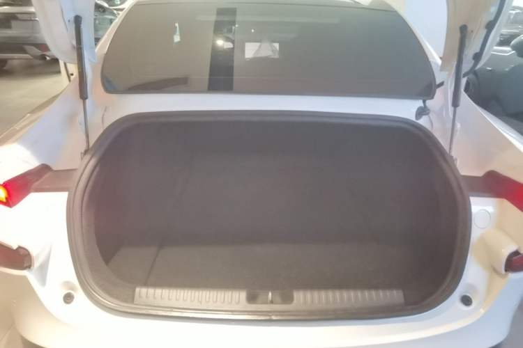 Used XPeng P7 2020 670N Trunk