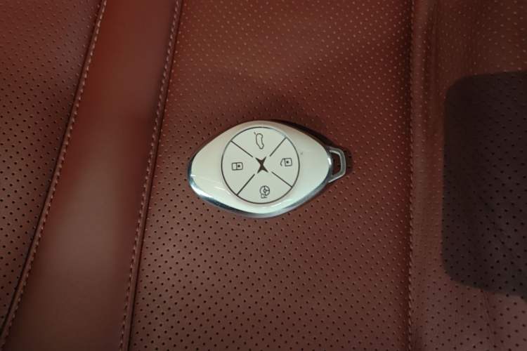 Used XPeng P7 2020 706G Vehicle Key
