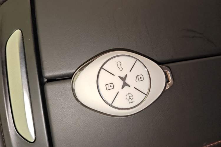 Used XPeng P7 2020 670E Vehicle Key