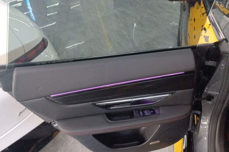 Used XPeng P7 2020 670E Left Rear Door Interior