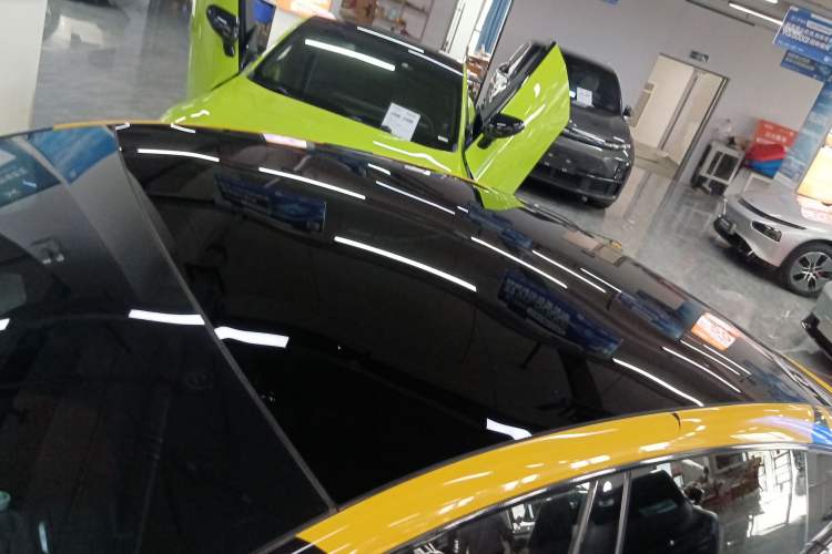 Used XPeng P7 2020 670E Roof