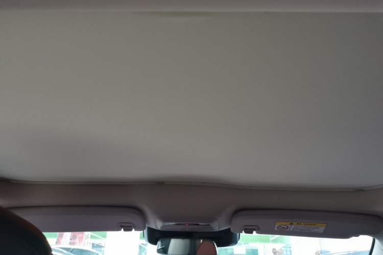 Used XPeng P7 2021 480E Headliner