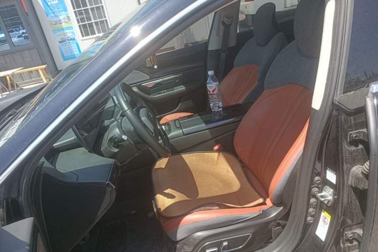 Used XPeng P7 2021 480G Left Front Seat