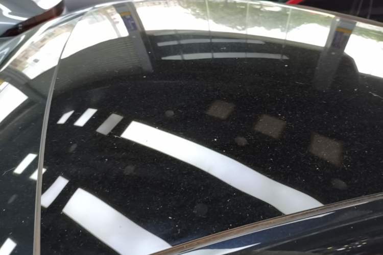Used XPeng P7 2021 480G Roof