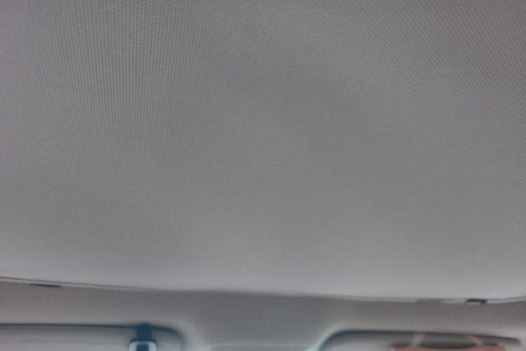 Used XPeng P7 2021 480N Headliner