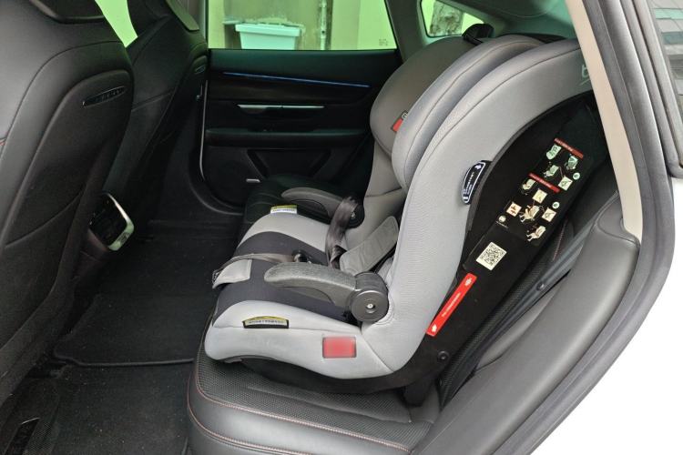 Used XPeng P7 2021 480N Left Rear Seat