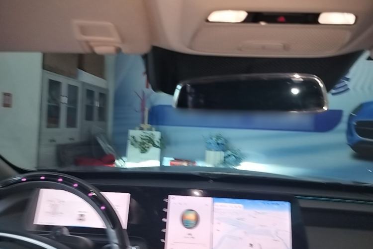 Used XPeng P7 2021 480E Headliner