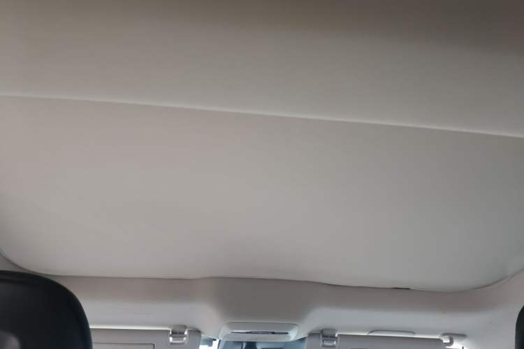 Used XPeng P7 2021 480N Headliner