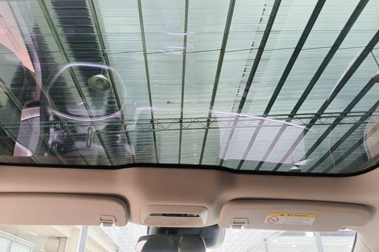 Used XPeng P7 2021 480N Headliner