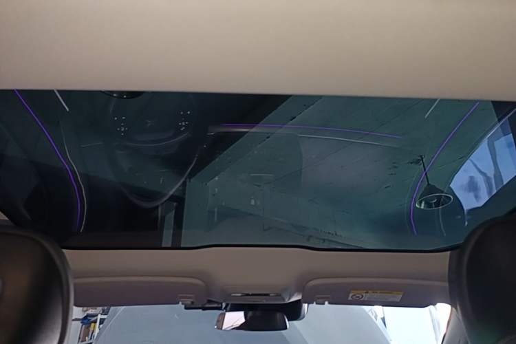 Used XPeng P7 2021 480N Headliner