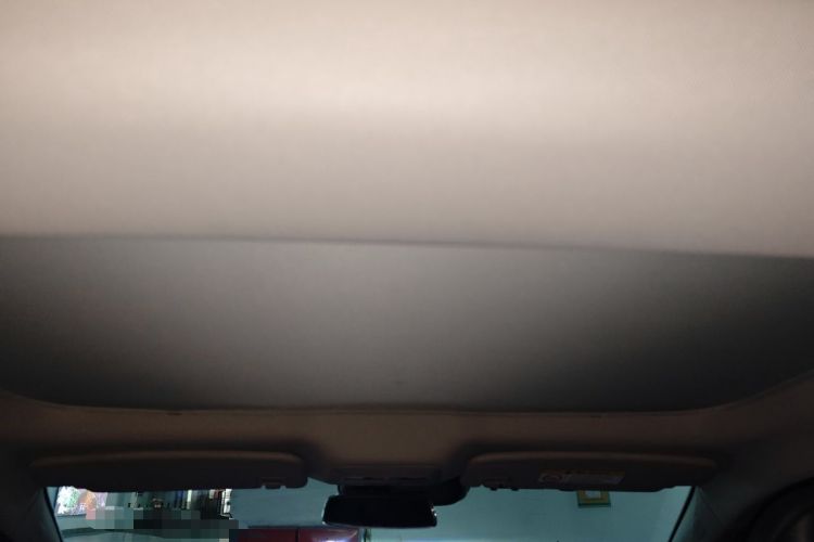 Used XPeng P7 2021 480N Headliner