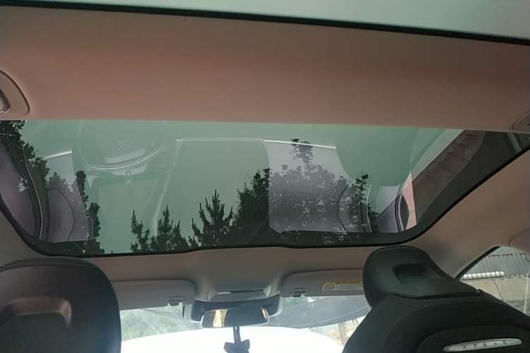 Used XPeng P7 2021 480E Headliner