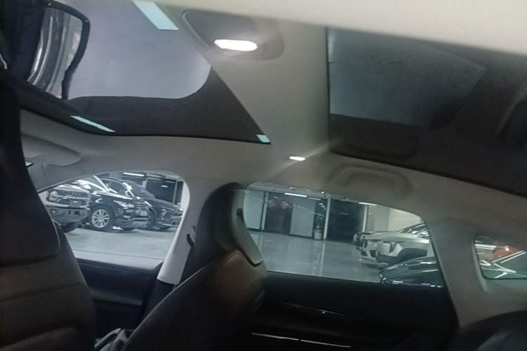 Used XPeng P7 2021 480N Headliner