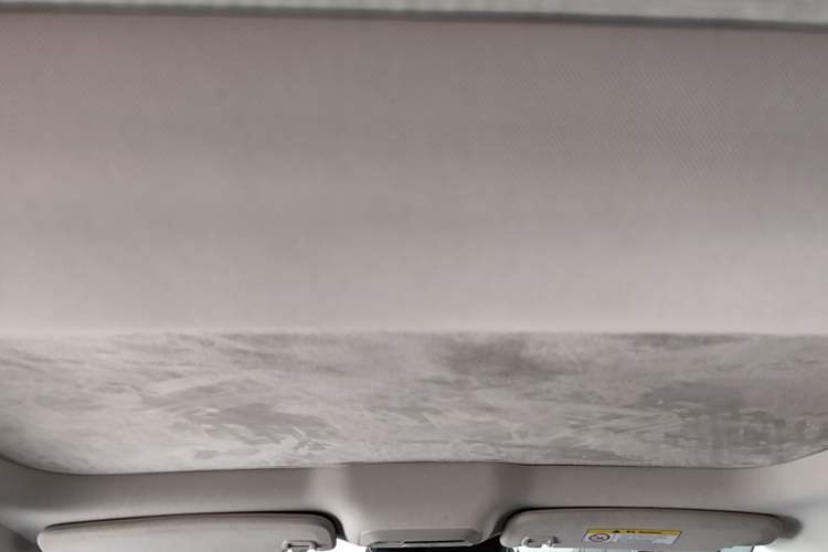 Used XPeng P7 2021 480N Headliner