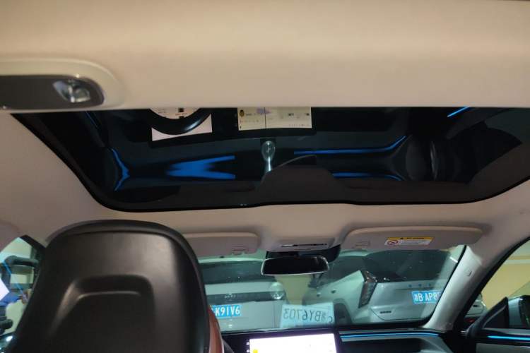 Used XPeng P7 2021 670G Headliner
