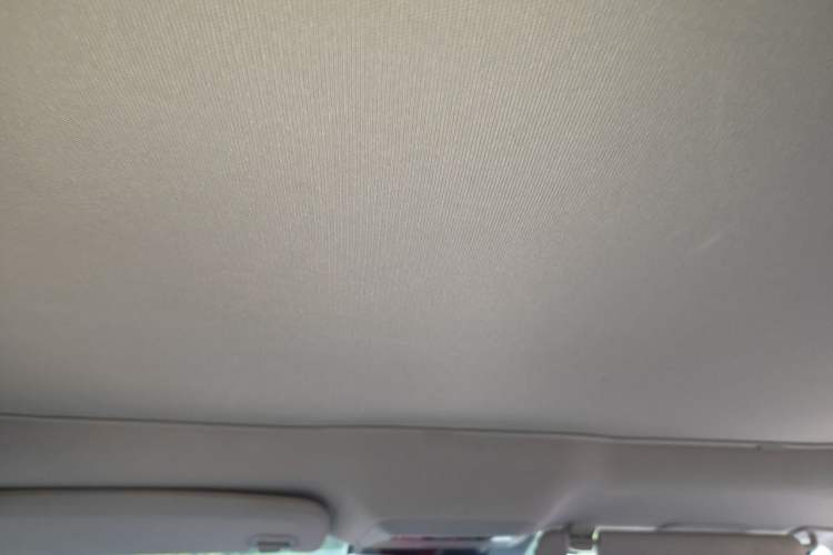 Used XPeng P7 2021 480N Headliner