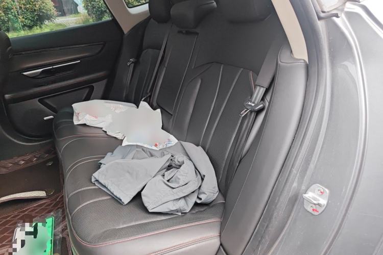 Used XPeng P7 2021 670G Left Rear Seat