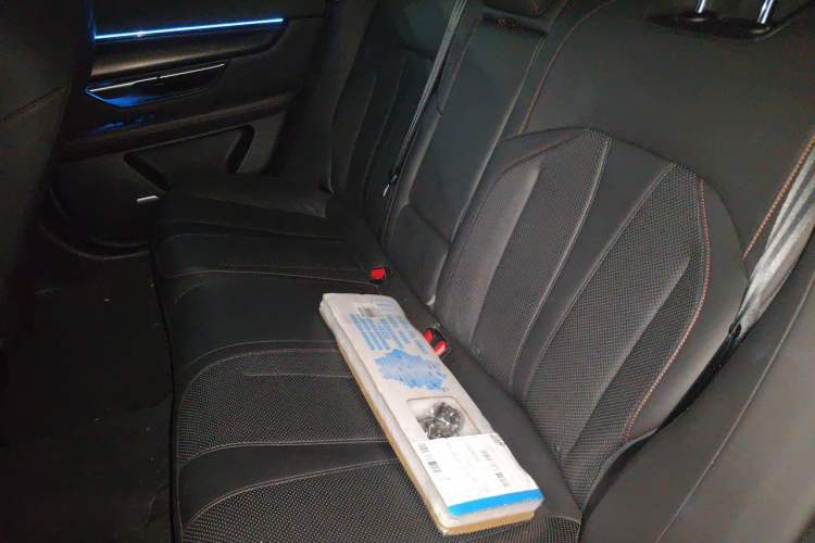 Used XPeng P7 2021 670G Left Rear Seat