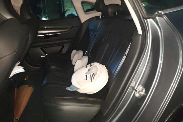 Used XPeng P7 2021 480N Left Rear Seat