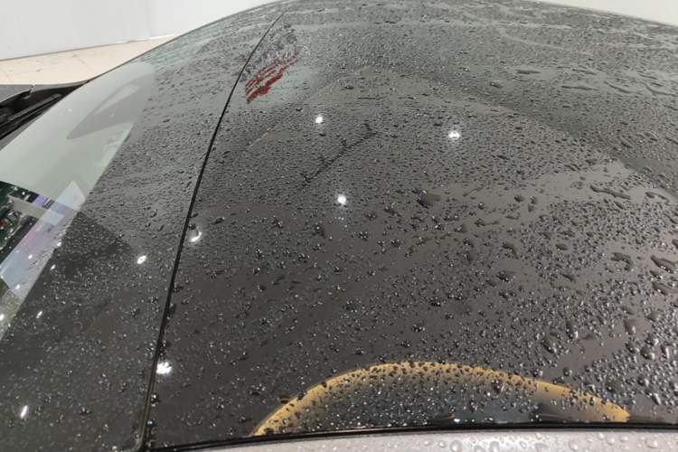 Used XPeng P7 2021 480N Roof