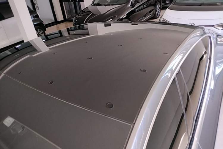 Used XPeng P7 2021 480N Roof