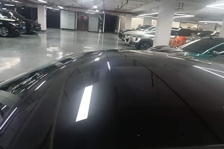 Used XPeng P7 2021 480N Roof