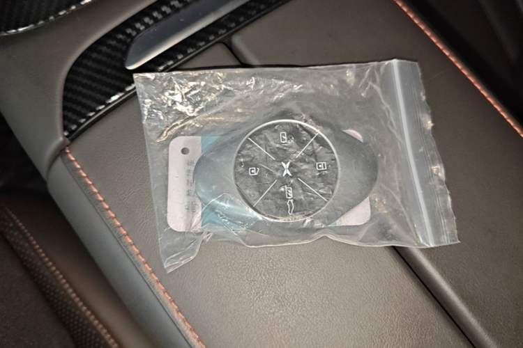 Used XPeng P7 2021 480G Vehicle Key