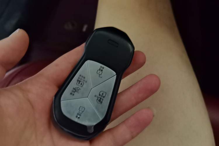 Used XPeng P7 2021 480N Vehicle Key