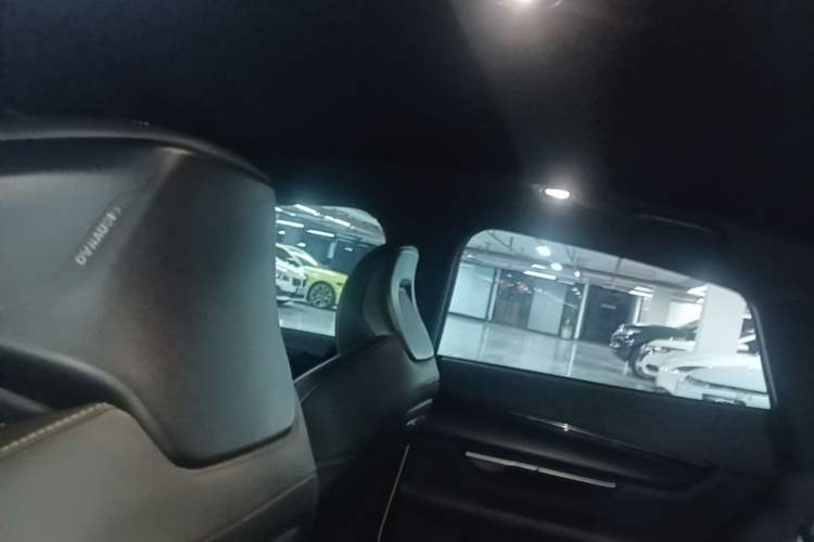 Used XPeng P7 2021 670E Pengyi Edition Headliner