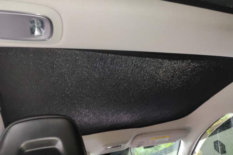Used XPeng P7 2021 480N Headliner