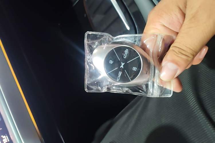 Used XPeng P7 2021 480N Vehicle Key