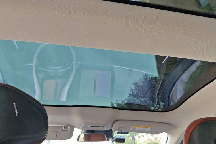 Used XPeng P7 2021 670G Headliner