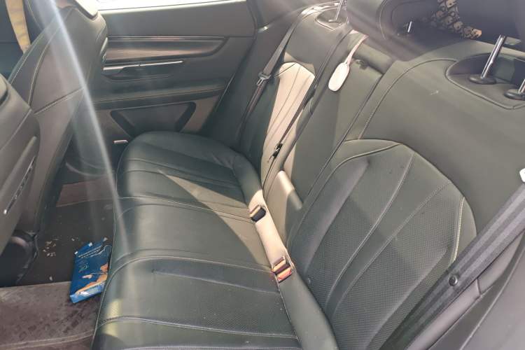 Used XPeng P7 2021 670E Pengyi Edition Left Rear Seat