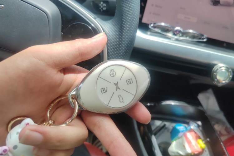 Used XPeng P7 2021 480N Vehicle Key