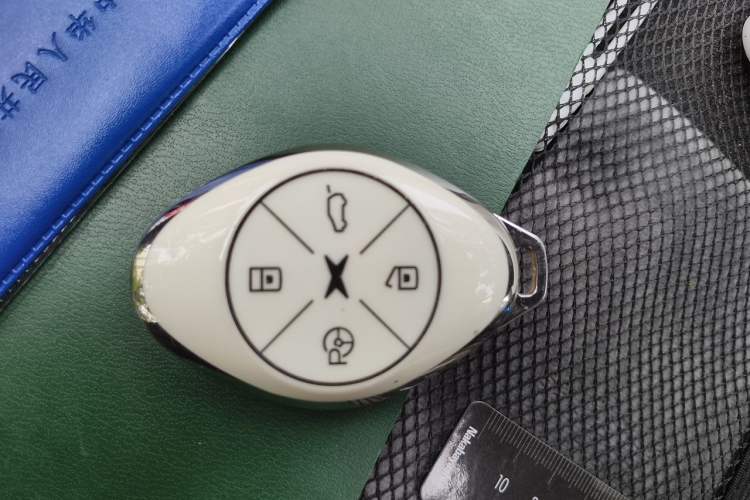 Used XPeng P7 2021 480N Vehicle Key