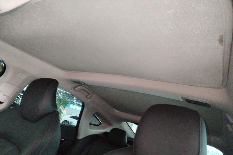 Used XPeng P7 2021 480N Headliner