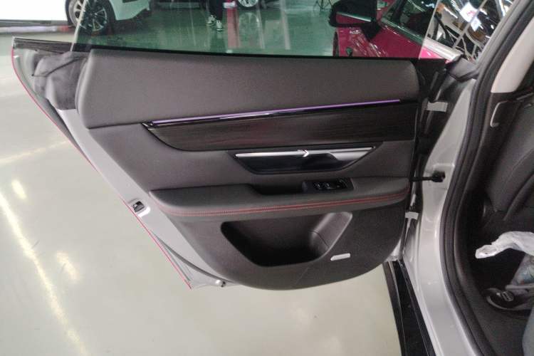 Used XPeng P7 2021 480N Left Rear Door Interior
