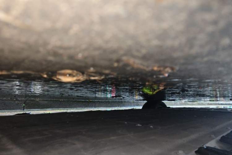 Used XPeng P7 2021 670G Chassis Rear Left