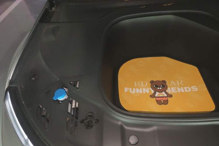 Used XPeng P7 2021 480N Engine Bay Right