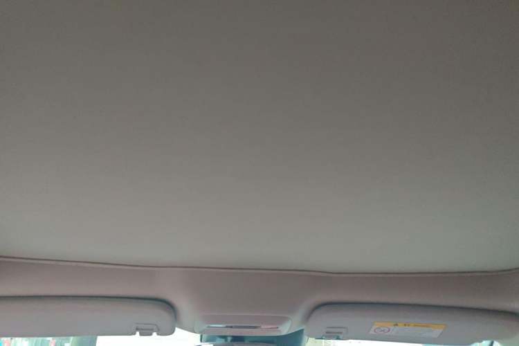 Used XPeng P7 2021 670G Headliner
