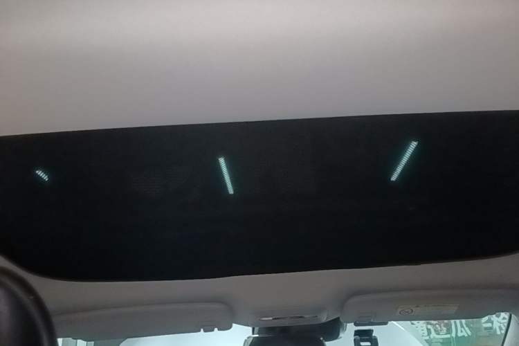 Used XPeng P7 2021 670G Headliner