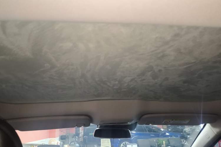 Used XPeng P7 2021 670G Headliner