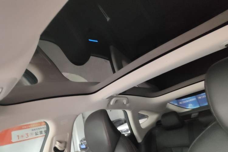 Used XPeng P7 2021 480N Headliner